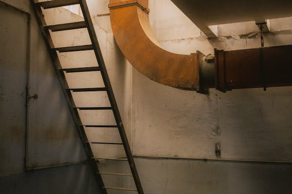 pexels-photo-17176667-1