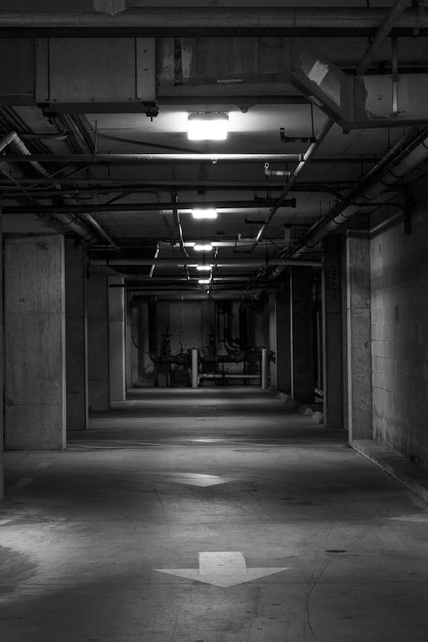 pexels-photo-17486359-1